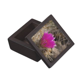 Cactus Flower Gift Box planetjillgiftbox