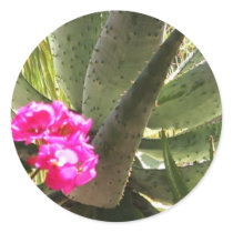 Cactus Flower Gifts stickers