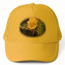 Cactus Flower hats by puppiluv Cactus Flower hats