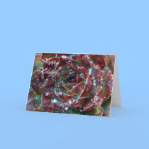 Cactus Flower Holiday Card