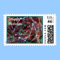 Cactus Flower Holiday Postage postage