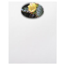 Cactus Flower letterhead