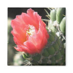 Cactus Flower Magnets