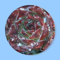 Cactus Flower Magnet by deesbasenjis Cactus Flower Magnet