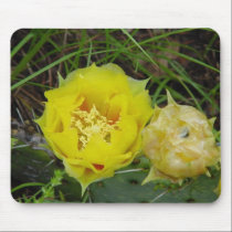 Cactus Flower Mousepad by 3131theory Cactus Flower Mousepad