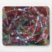 Cactus Flower Mousepad