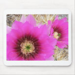 Cactus Flower mousepads
