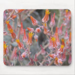 Cactus Flower Mousepads