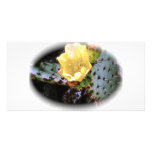 Cactus Flower Photo Card Template