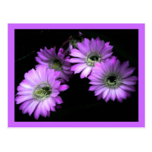 Cactus Flower Post Cards