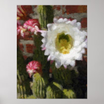 Cactus Flower Poster posters