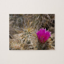 Cactus Flower Puzzle 1