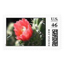 Cactus Flower Stamp
