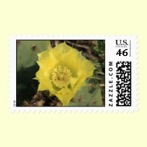 Cactus Flower Stamp