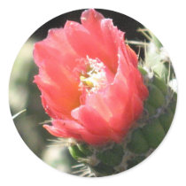 Cactus Flower stickers