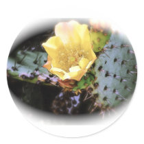 Cactus Flower stickers