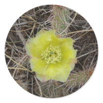 Cactus Flower Sticker