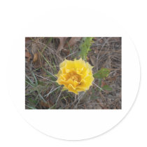 Cactus Flower stickers