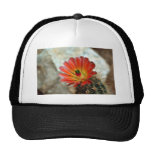Cactus flower trucker hat