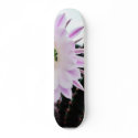 Cactus Flower White skateboards