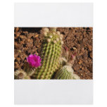 Cactus flyer