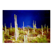 cactus forest in a storm - horizontal posters