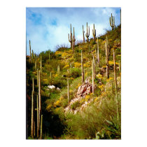 cactus forest posters