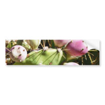 Cactus Fruits bumper stickers