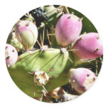 Cactus Fruits stickers
