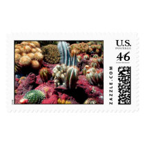 Cactus Garden postage