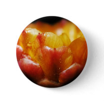 Cactus Glow buttons