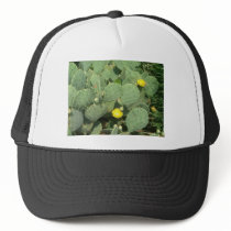 Cactus Hat by greatphotos Cactus Hat
