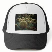 Cactus hats