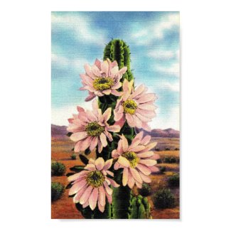 Cactus In Bloom print