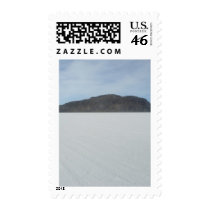 Cactus Island postage