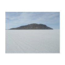 Cactus Island postcards by Little_Fish_Travel Cactus Island postcards