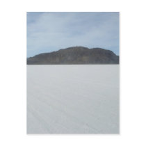 Cactus Island postcards by Little_Fish_Travel Cactus Island postcards