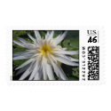 Cactus Jack postage by utopiaaquatic Cactus Jack postage