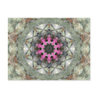 Cactus Kaleidoscope Postcard