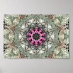 Cactus Kaleidoscope Poster