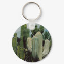 Cactus Keychain
