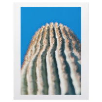 Cactus letterhead