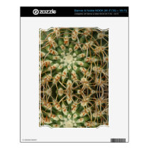 Cactus May 2013 Skin For The NOOK