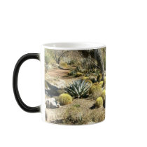 Cactus mugs