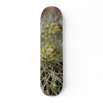 Cactus Needles In Anza Borrego Desert skateboards