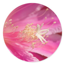 Cactus Orchid Stickers