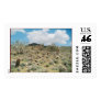 Cactus Pastoral Stamp