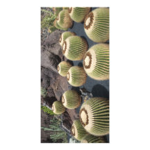 cactus photos picture card