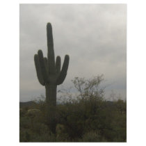 Cactus picture flyers by 777_scrapper Cactus picture flyers
