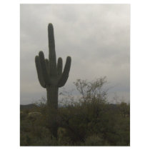 Cactus picture letterhead